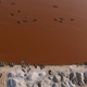 Illustration for article titled These Breathtaking Aerial Photos of Senegal Were Taken From a Kite